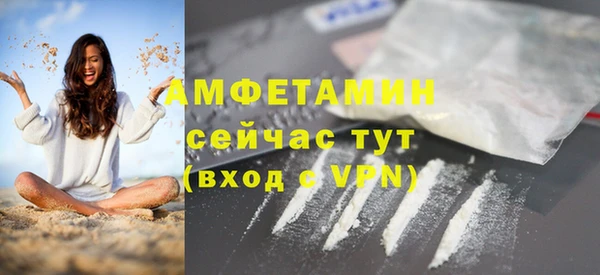 гидра Михайловка