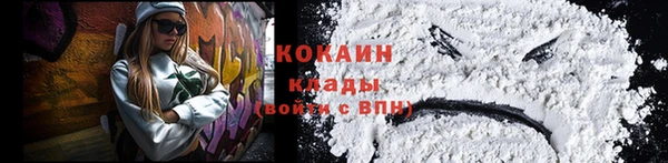 гидра Михайловка
