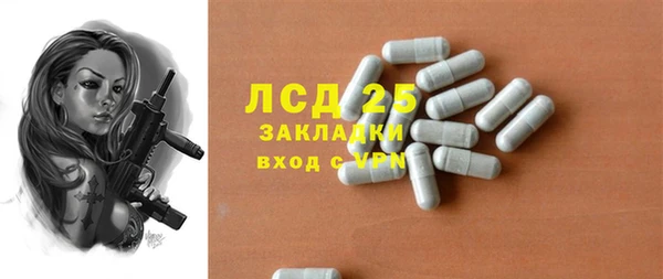 гидра Михайловка