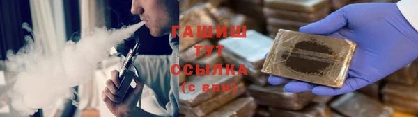 гидра Михайловка