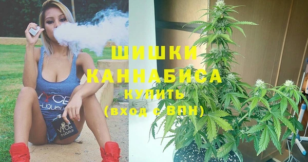 гидра Михайловка