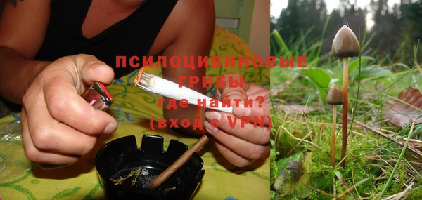 спиды Михайлов