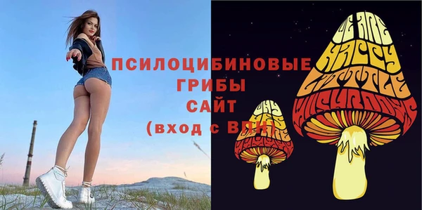 таблы Михайловск