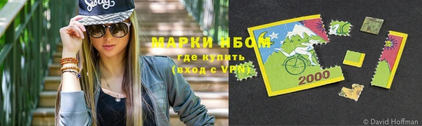 гидра Михайловка