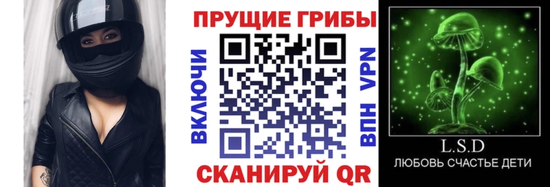 Галлюциногенные грибы Psilocybe  наркотики  Алагир 